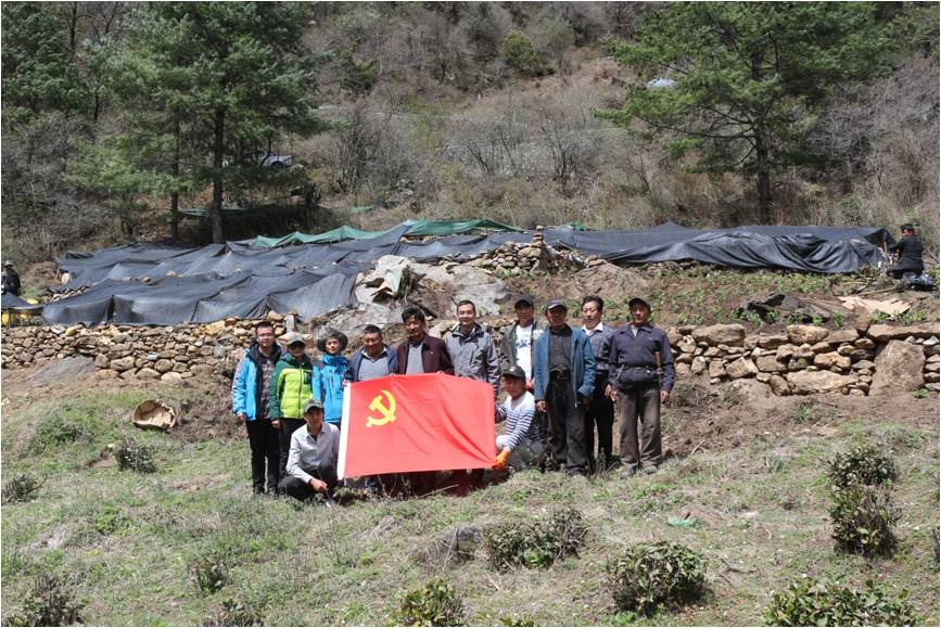 金莎娱乐官网最全网站党委将党建活动开展到青藏高原